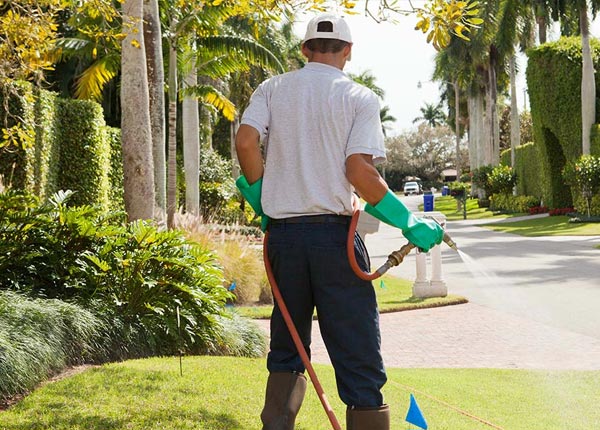 About Mott ND Pest Control